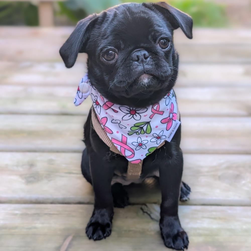 Tater Tot