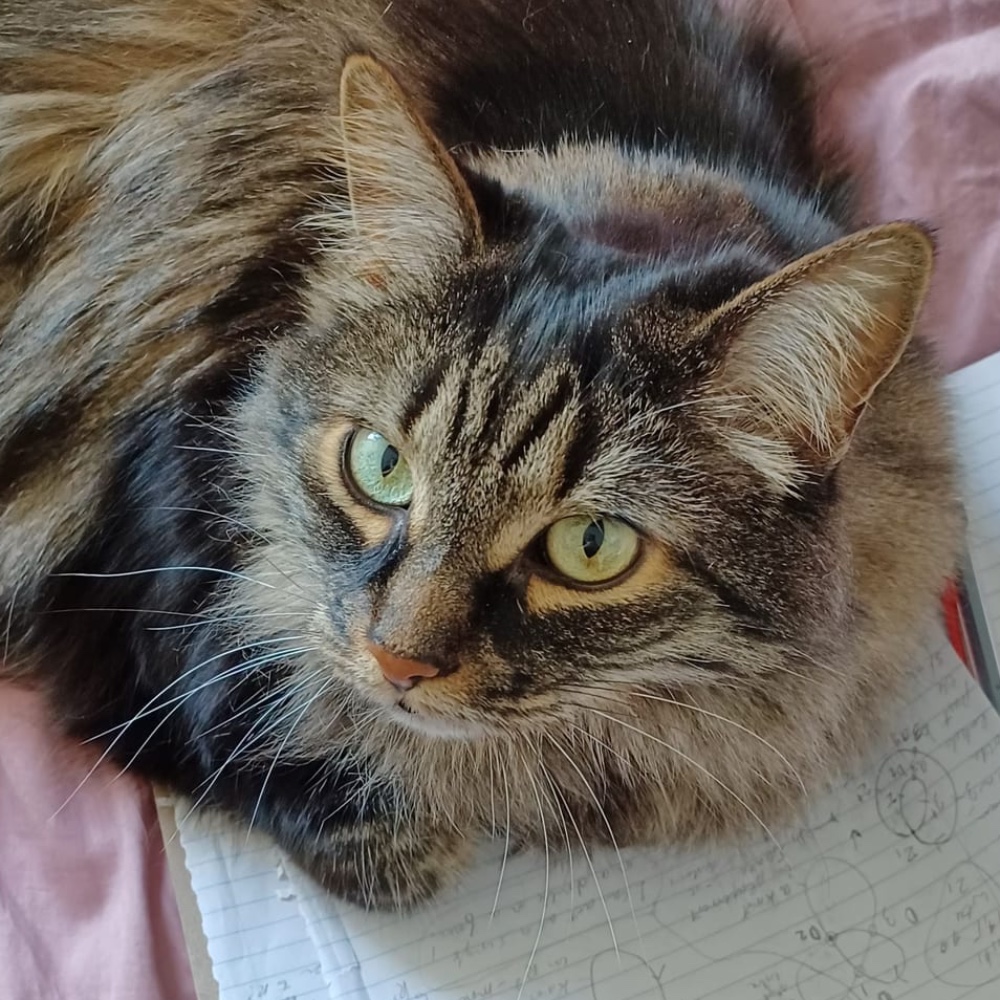 Izzy