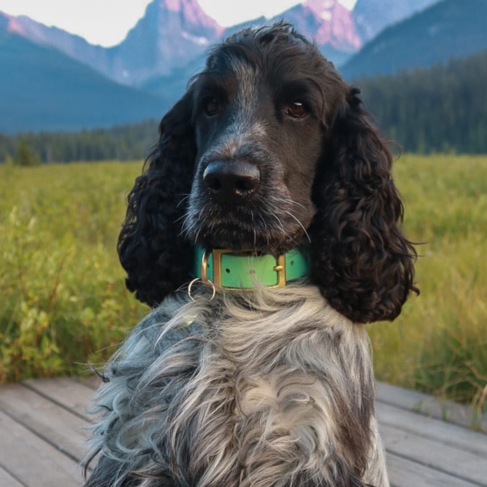 Milo