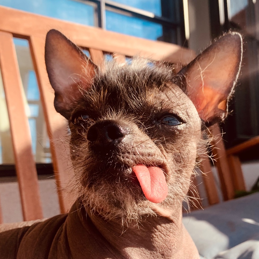 Lenny