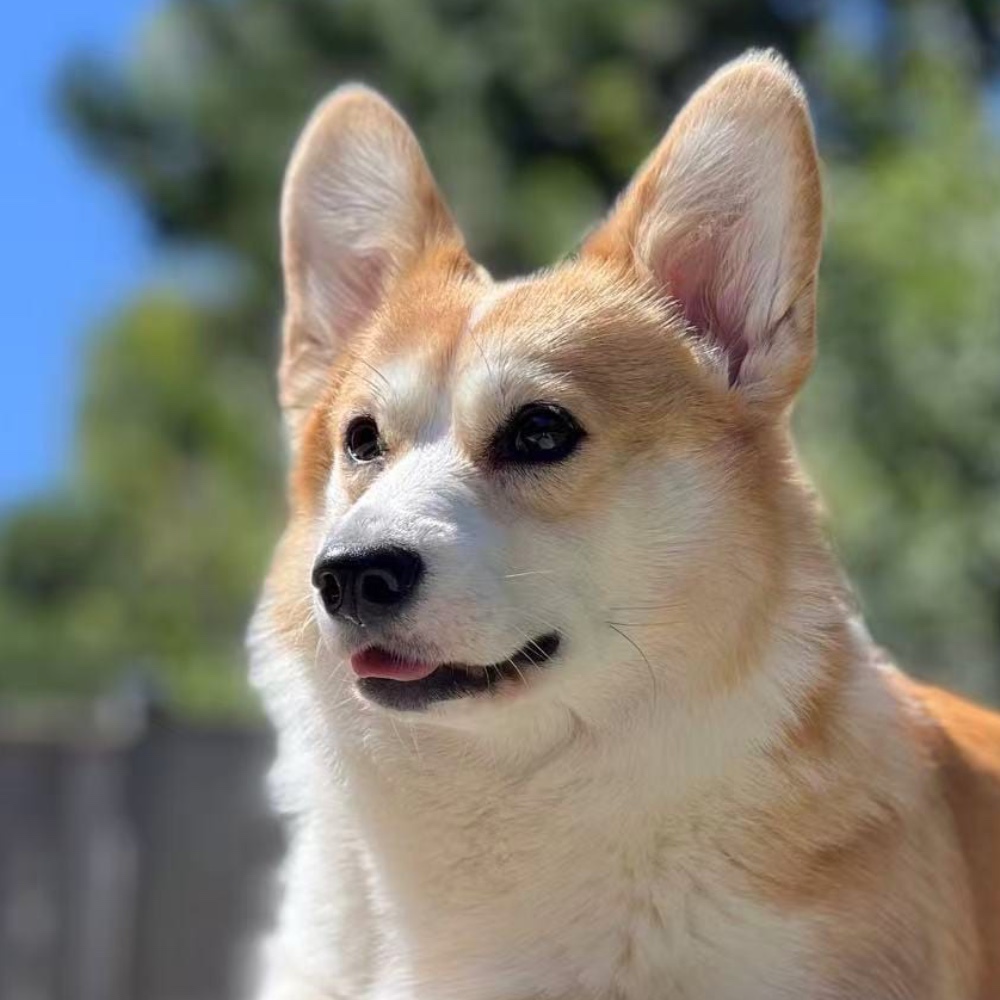 Winnie