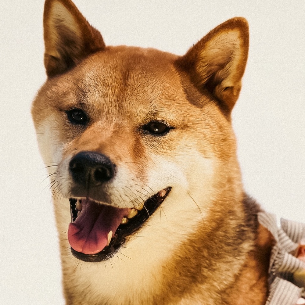 Meeko