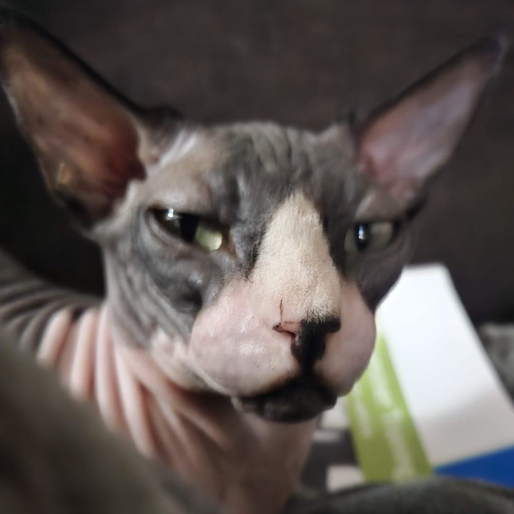 Smeagol
