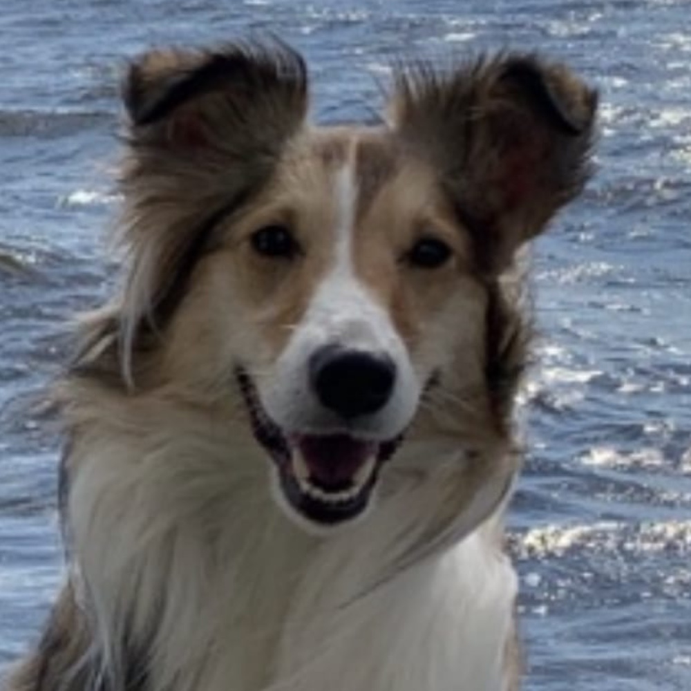 Mia
