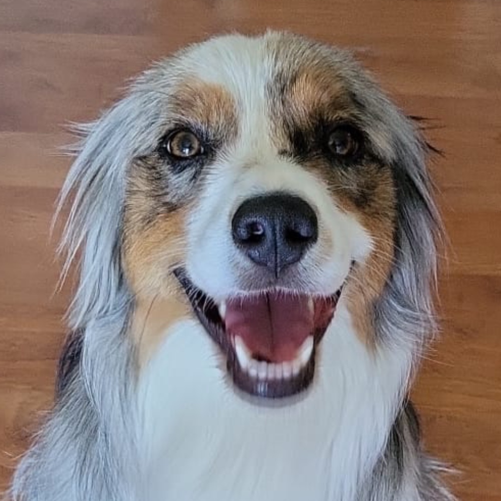 Pablo