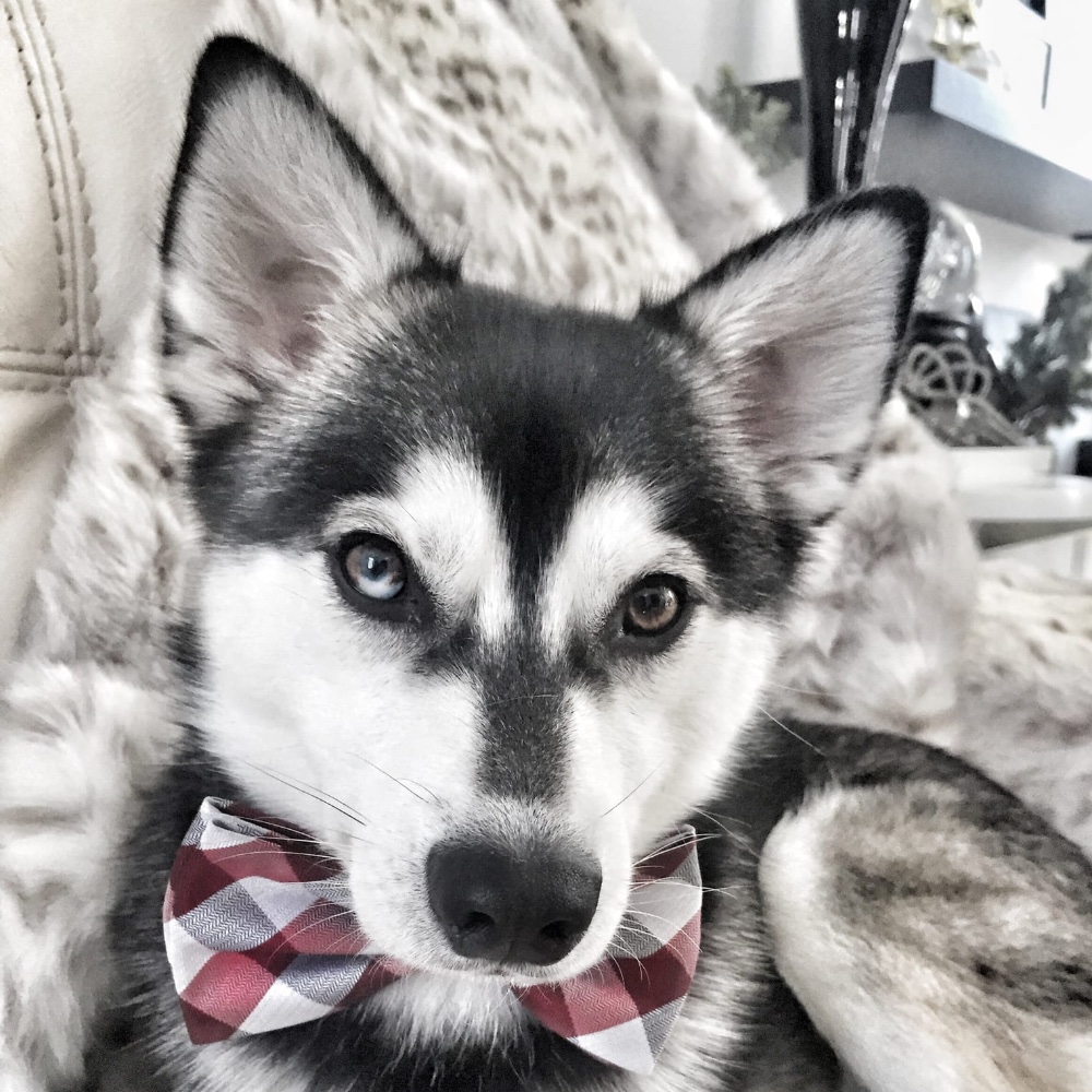 Kai
