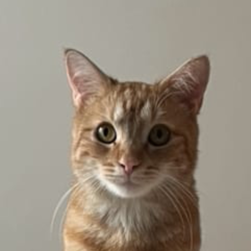 Benny