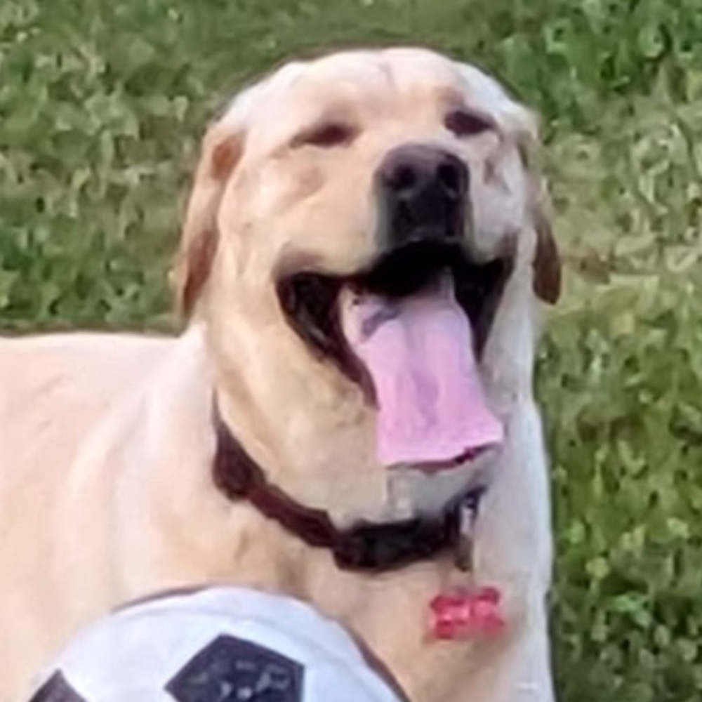 Spud