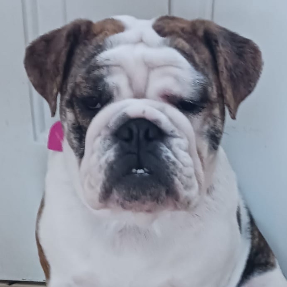 Lola