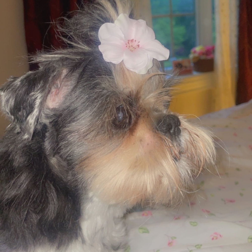 Rosie