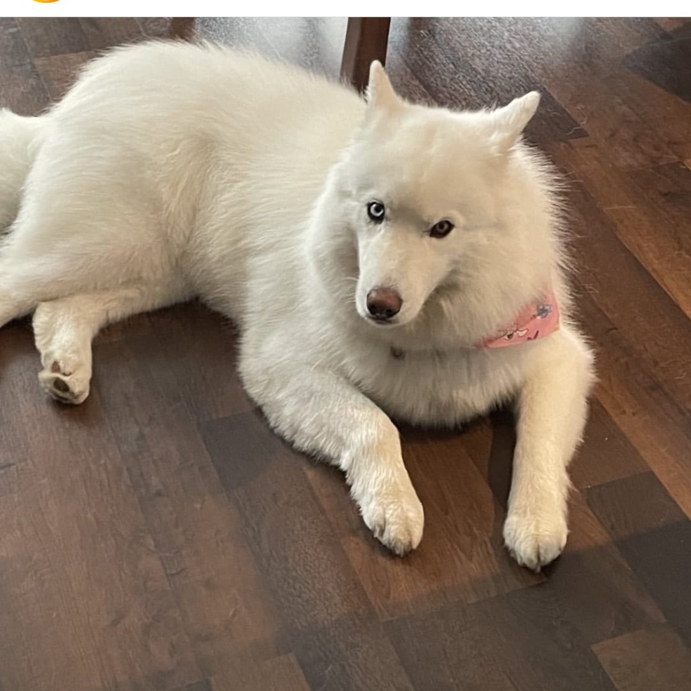 Luna