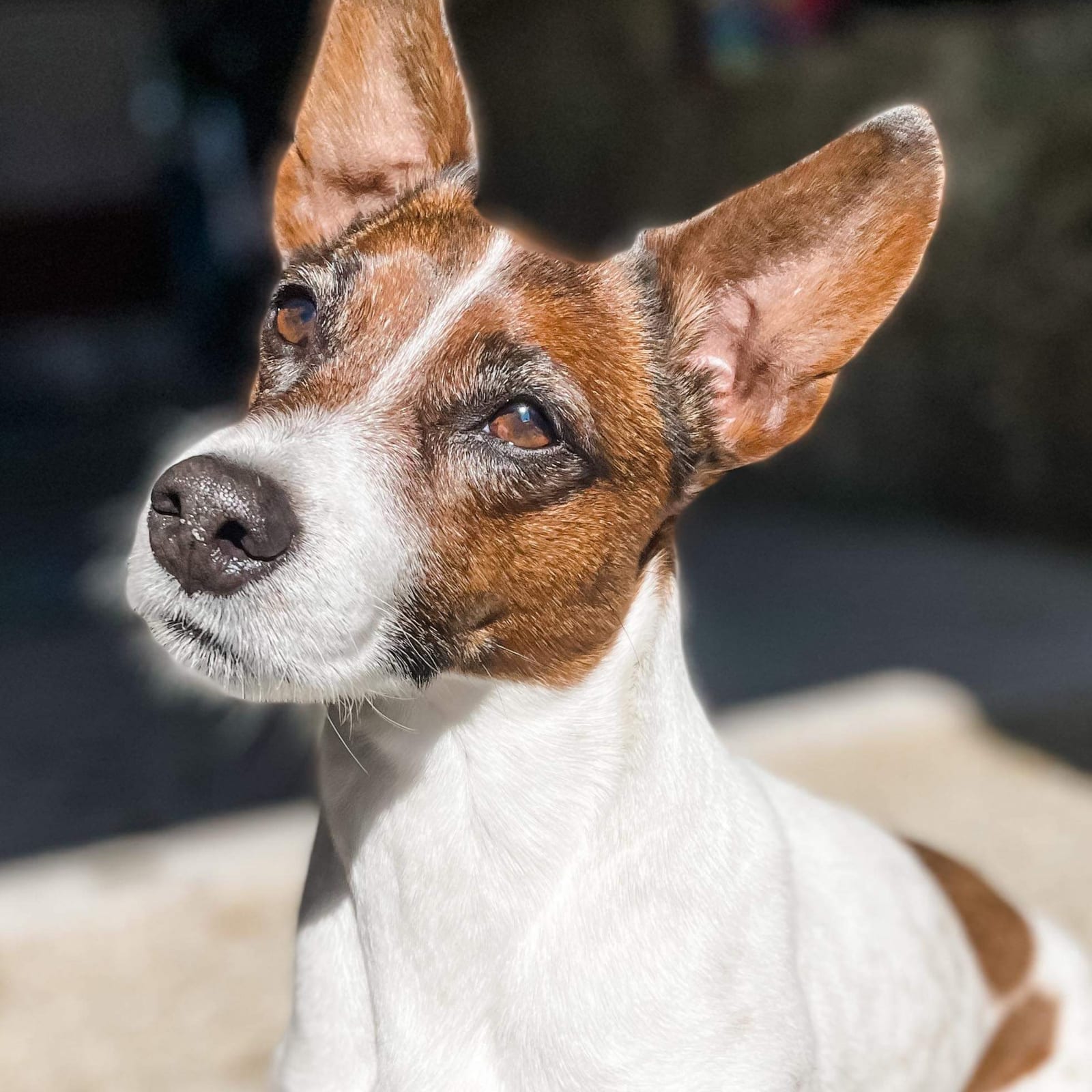 Finnigan