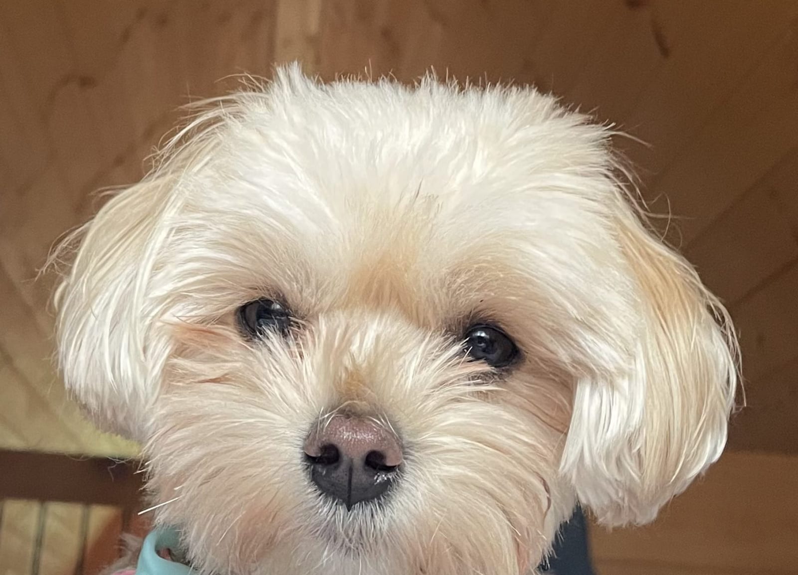 KONA