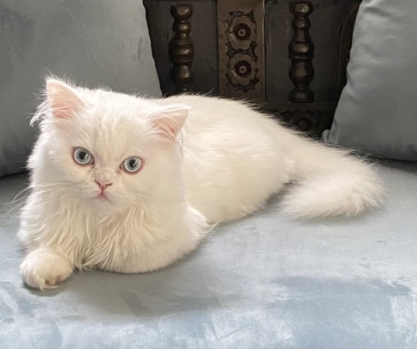 MISO