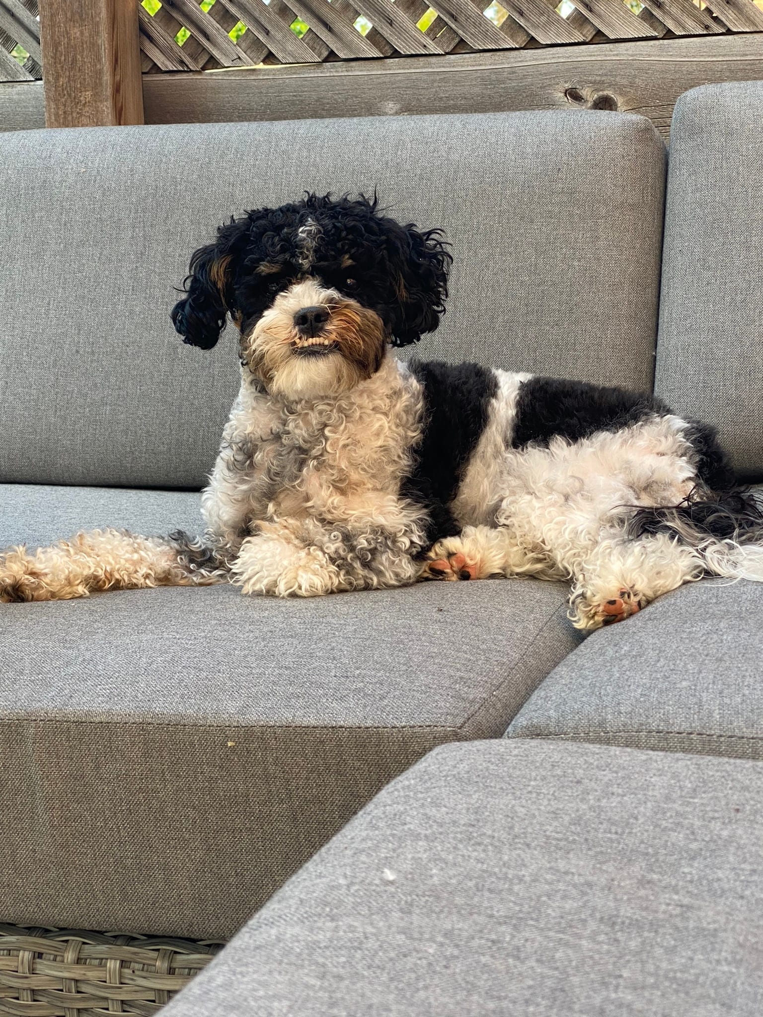 Murphy