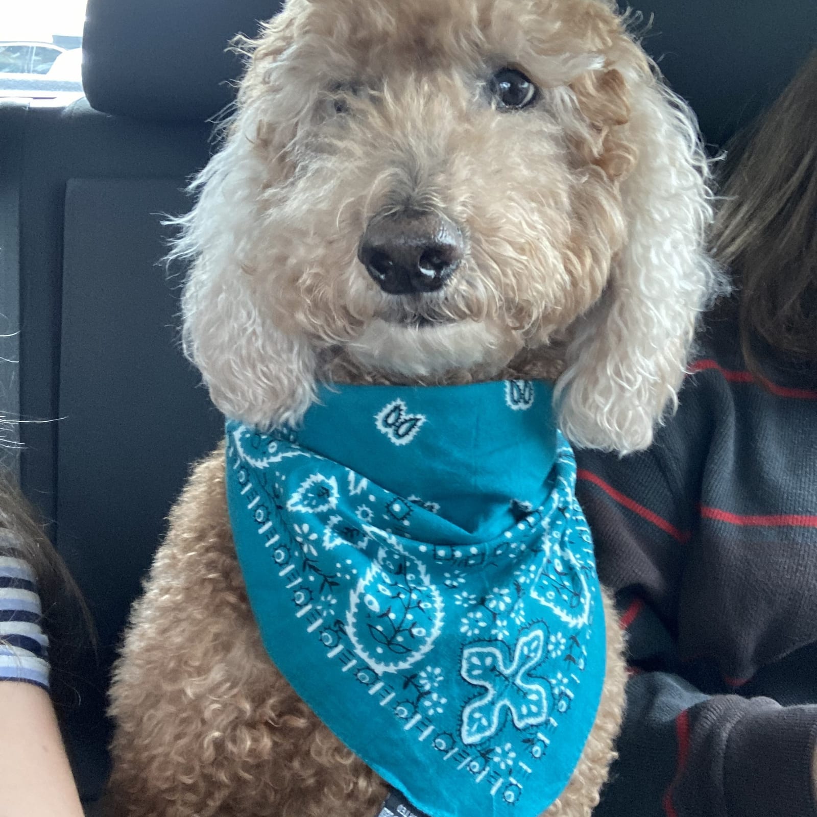 Cooper