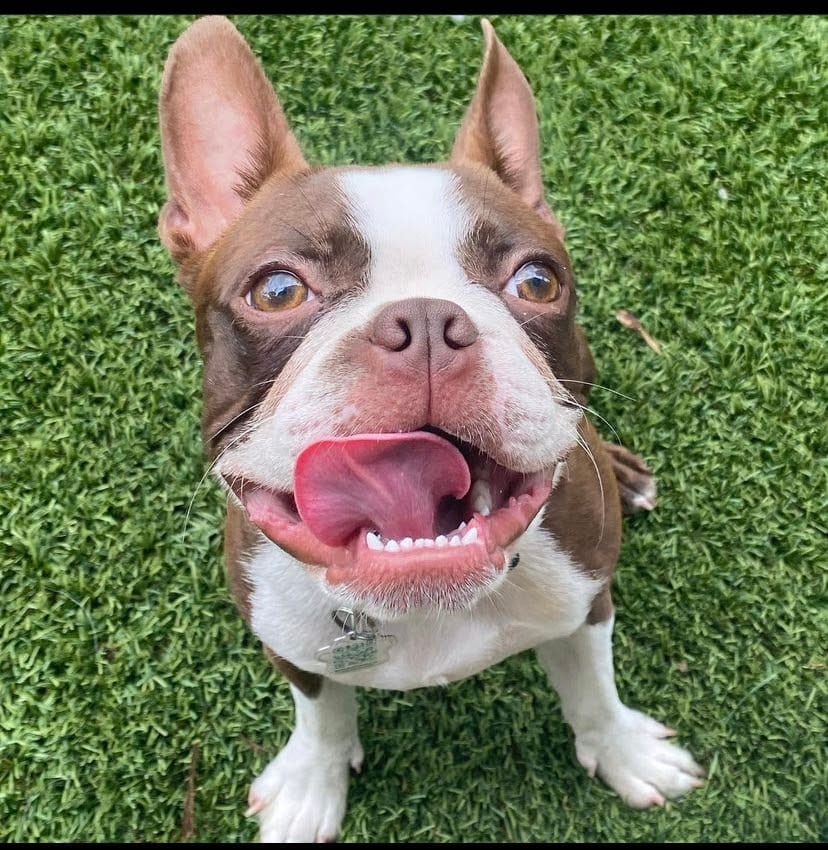 Ernie