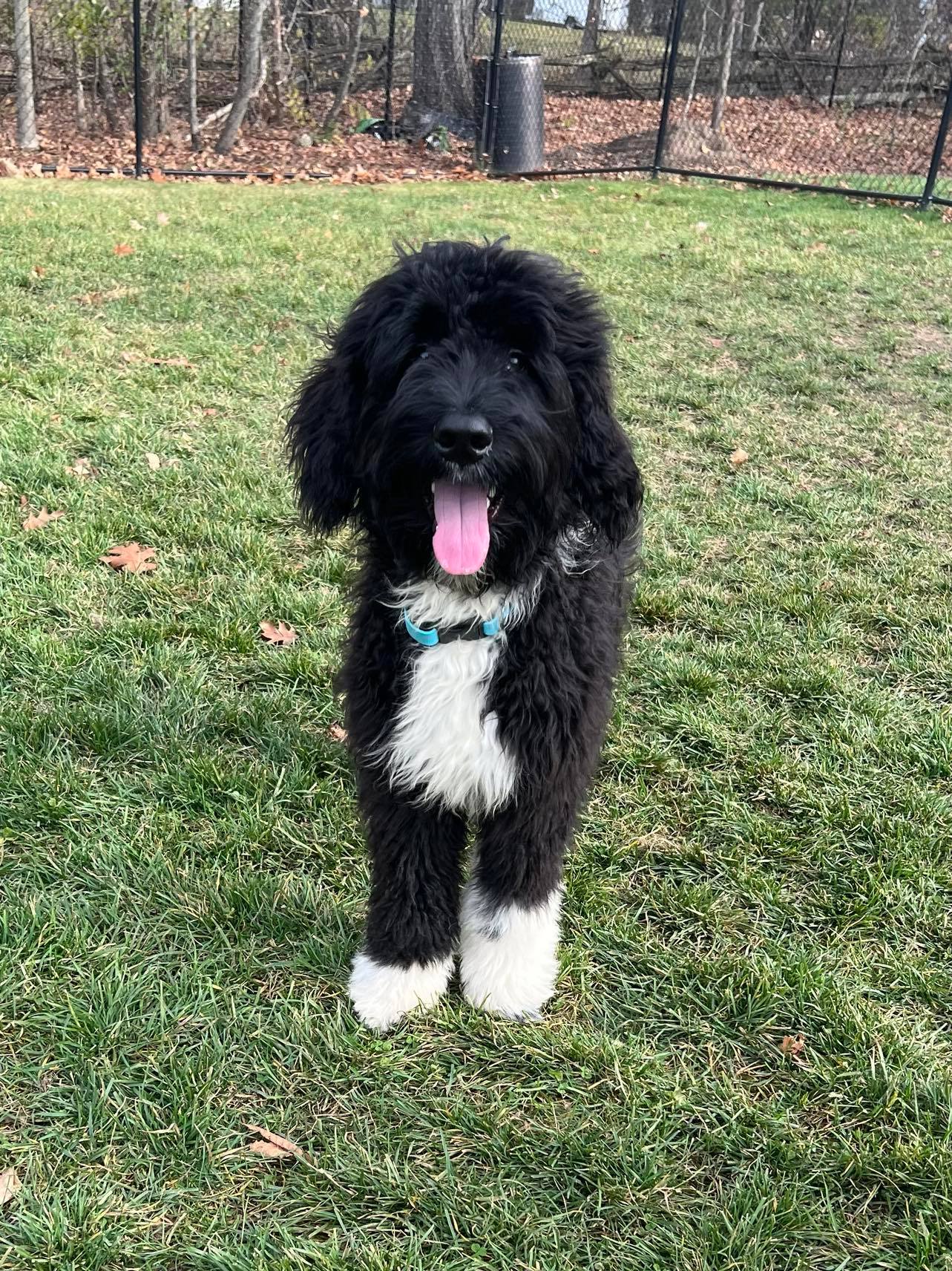 Elliott