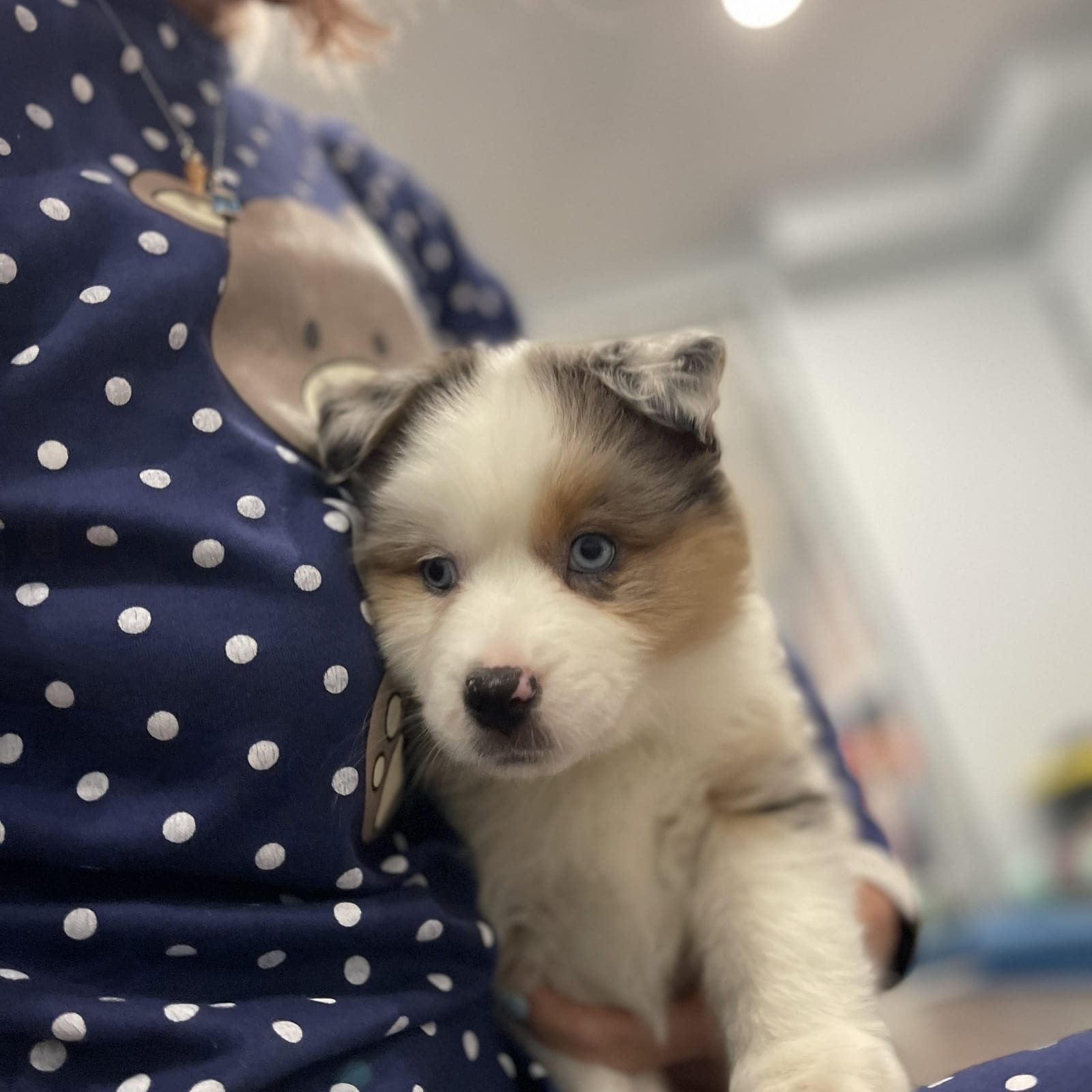 YUKI