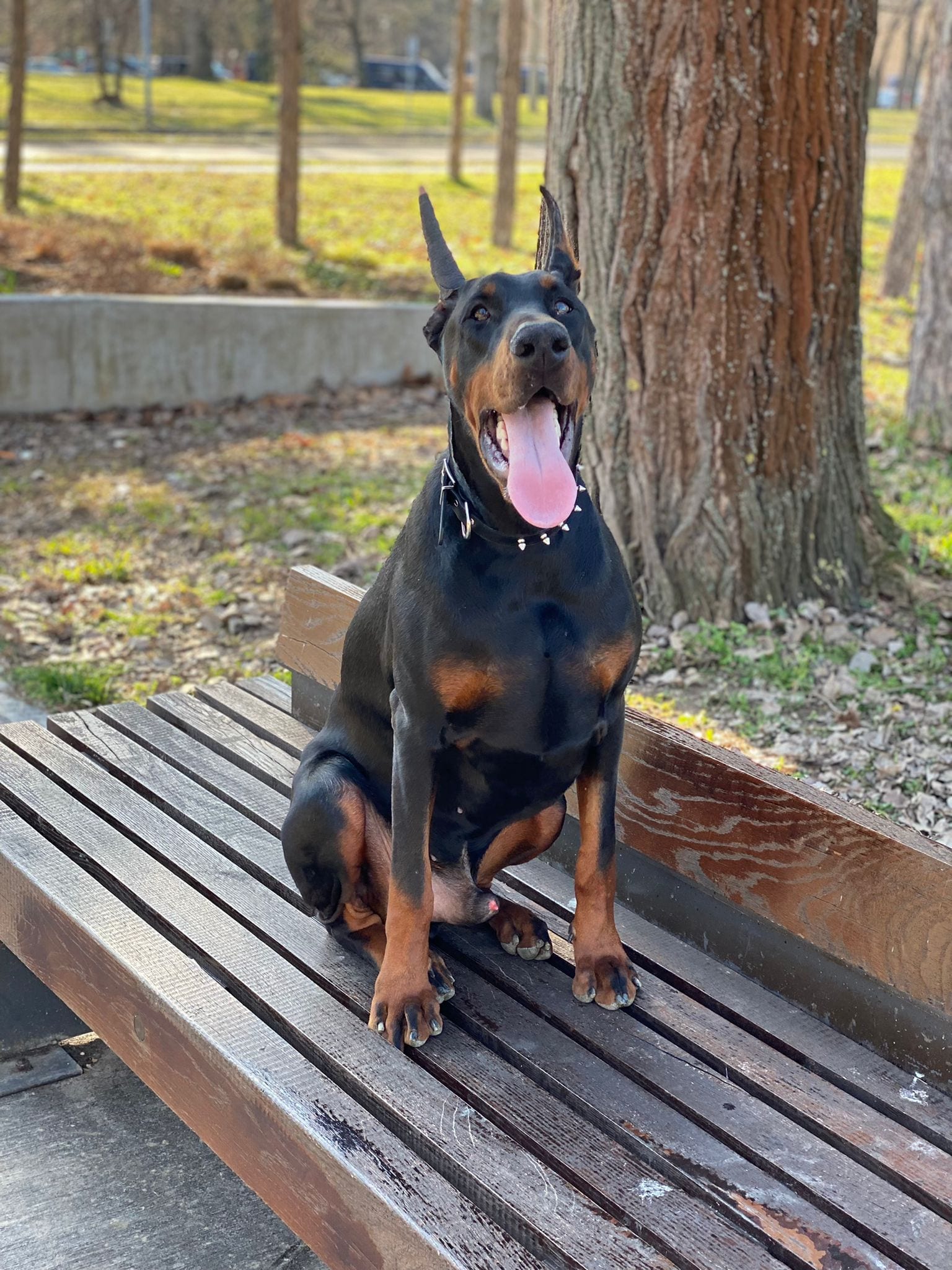 Klaus