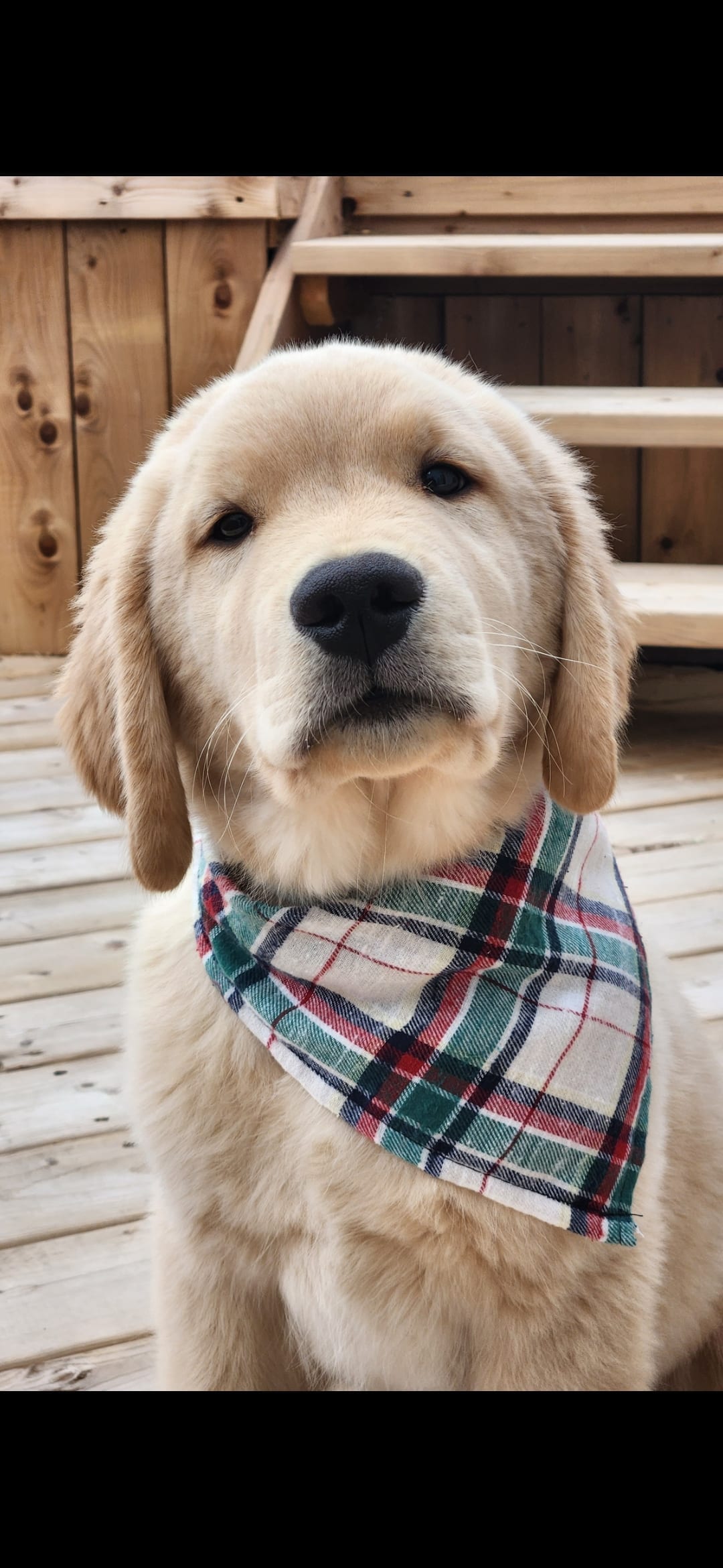 Huxley
