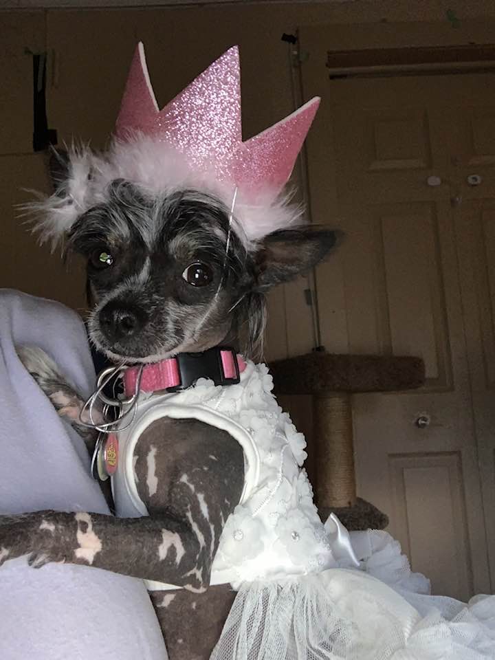 Phoebe