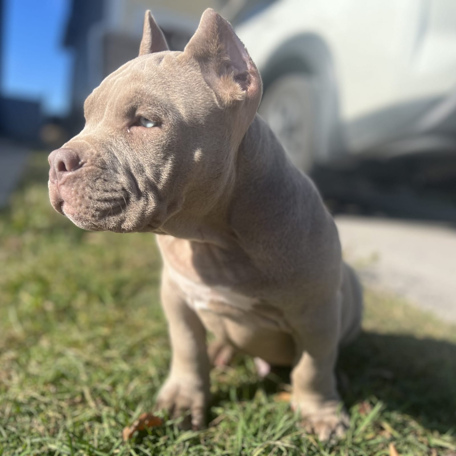 Pablo