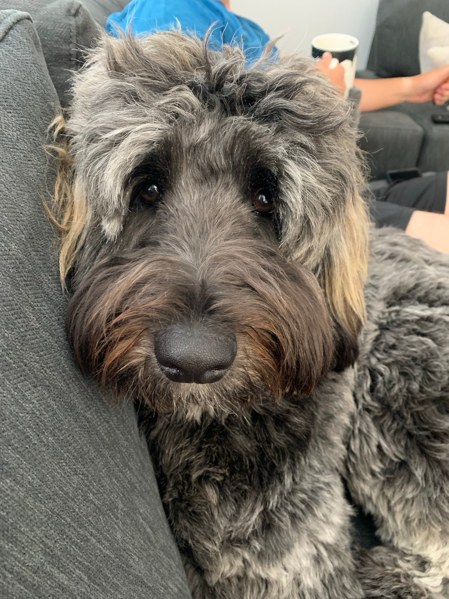 Jax