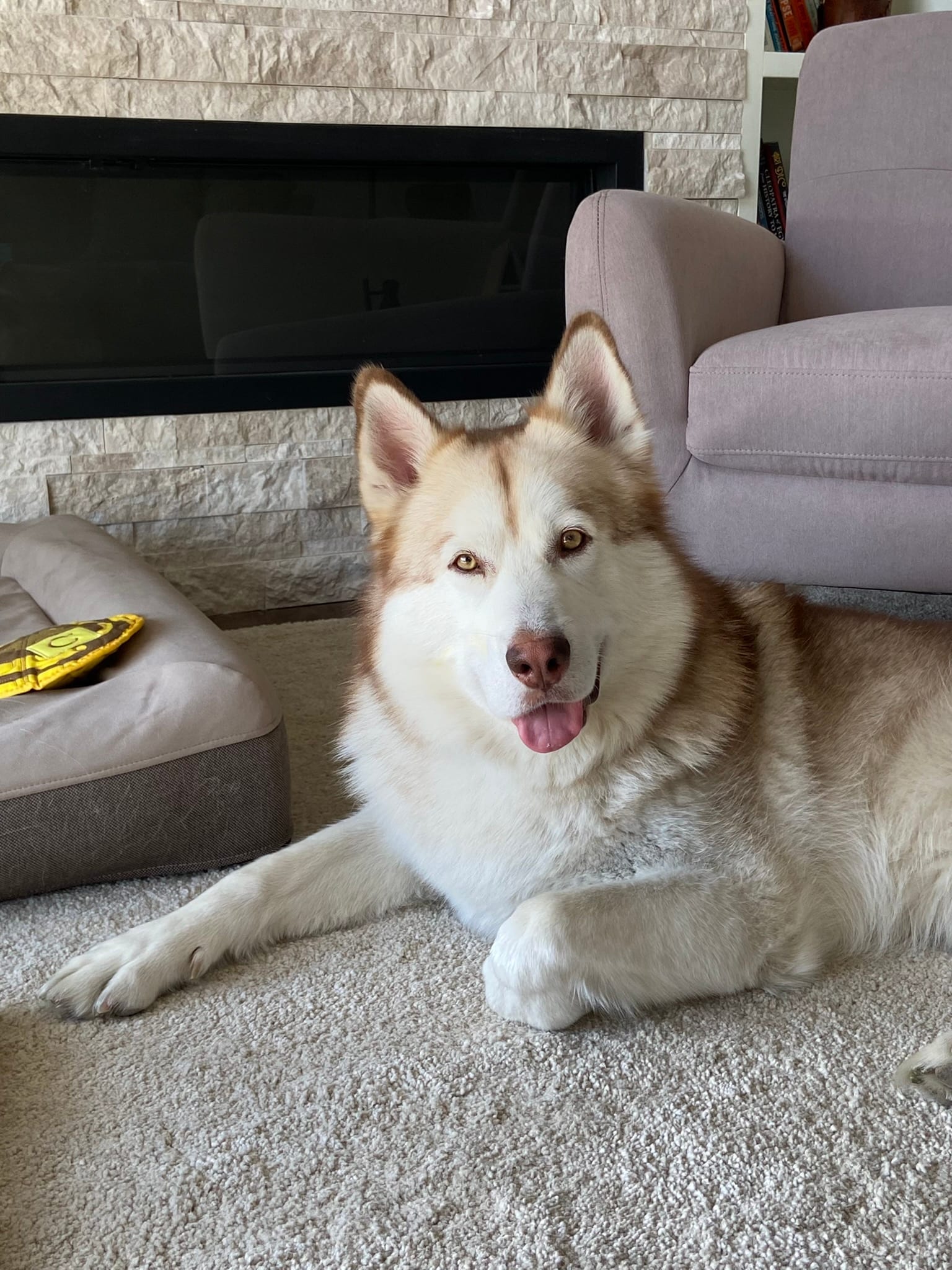 Logan