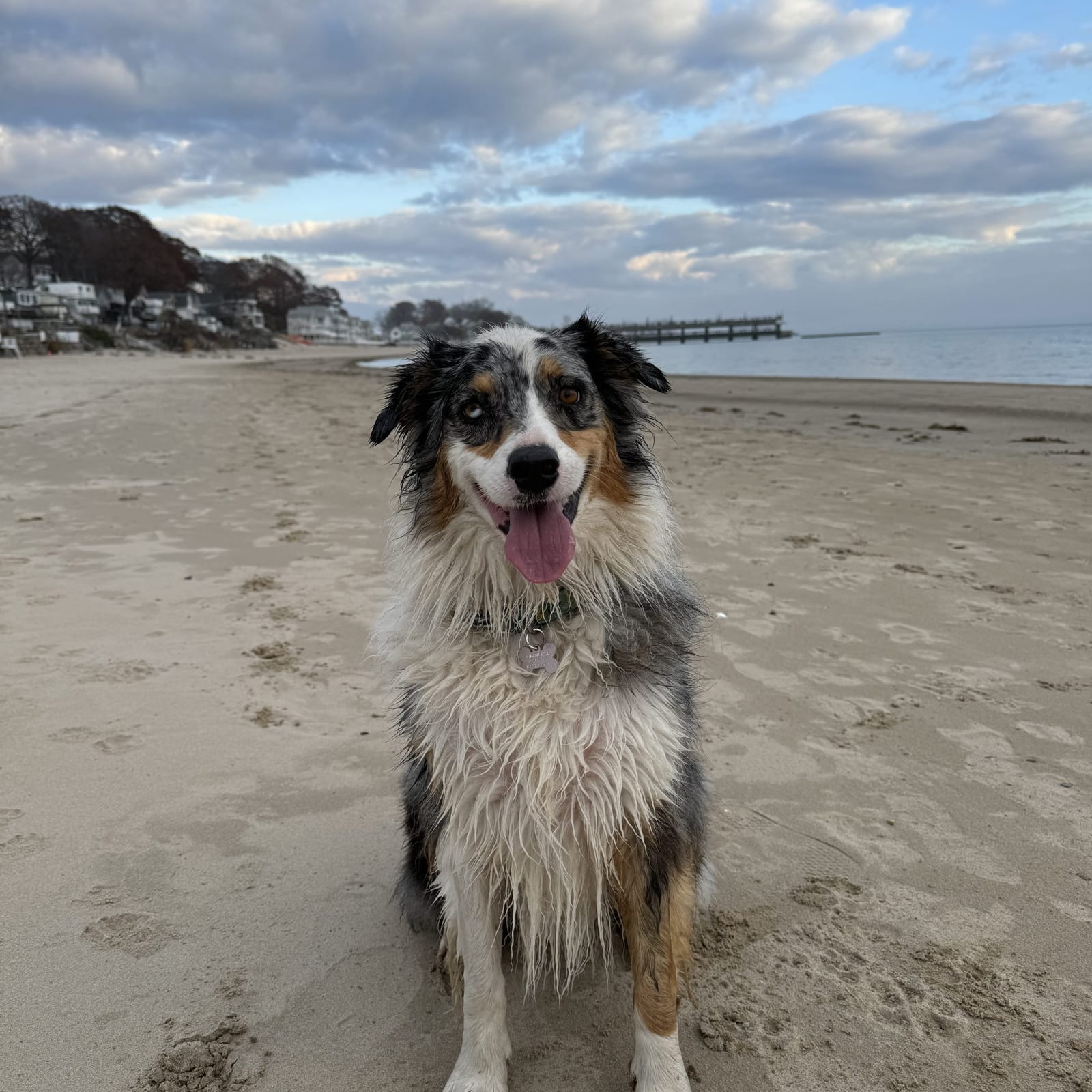 Ellie
