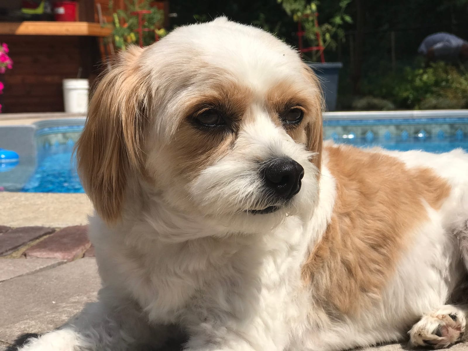 Jax