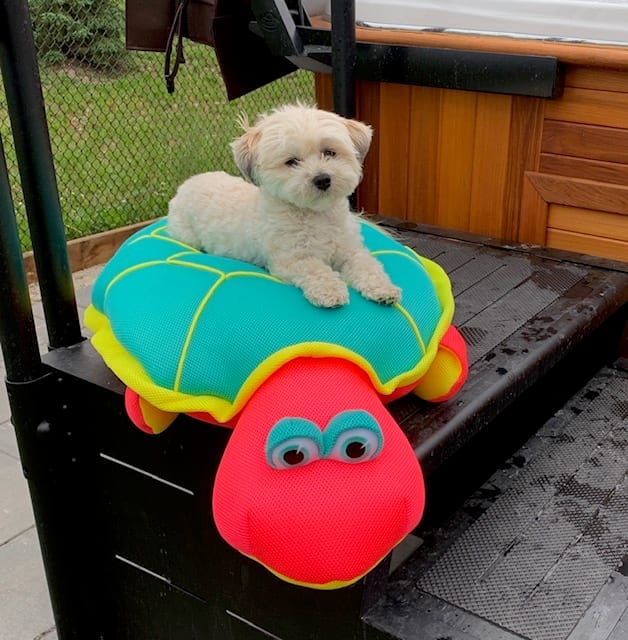 Sammy