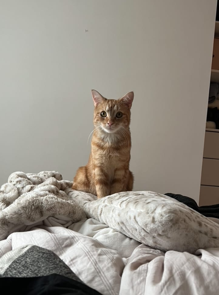 Benny