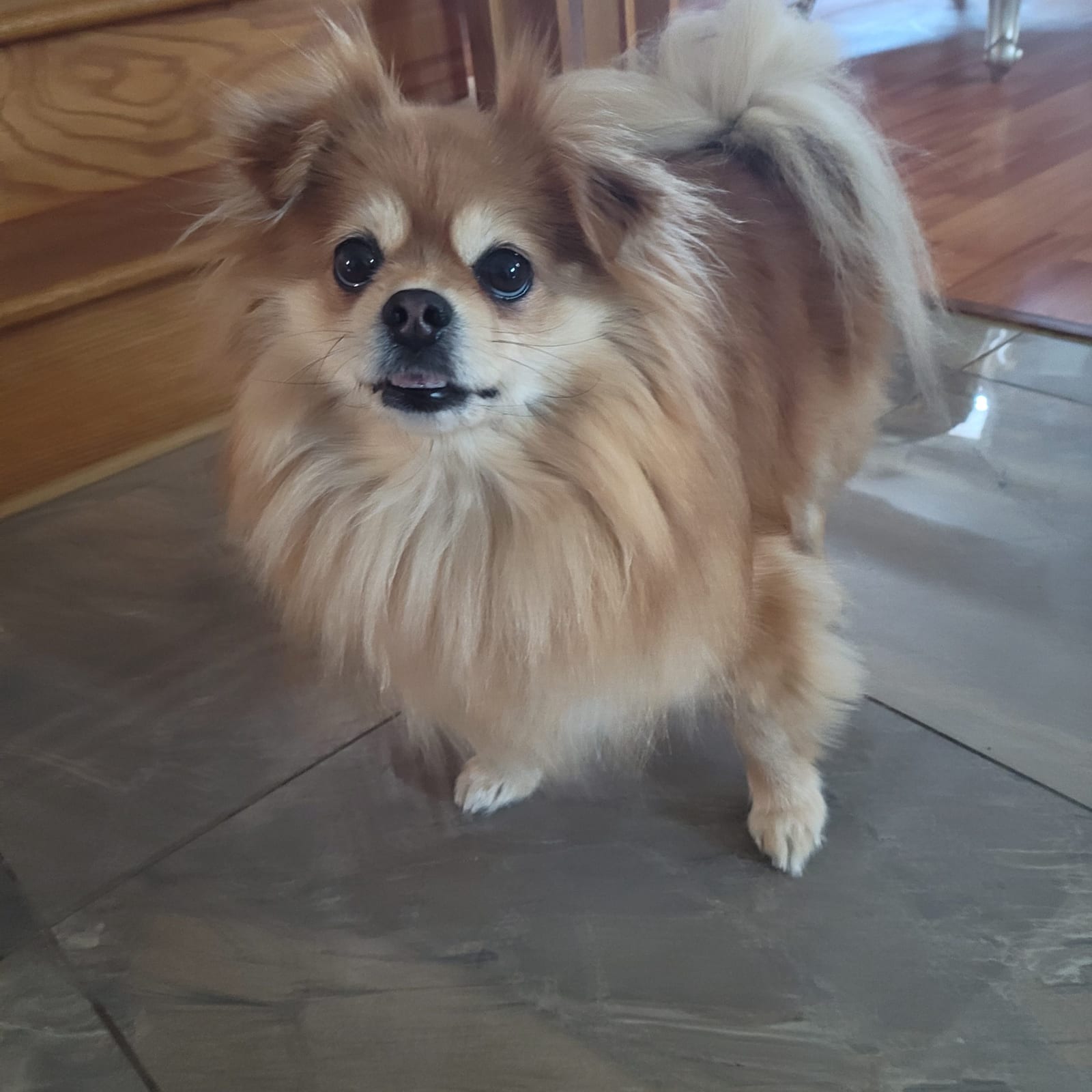 Lulu