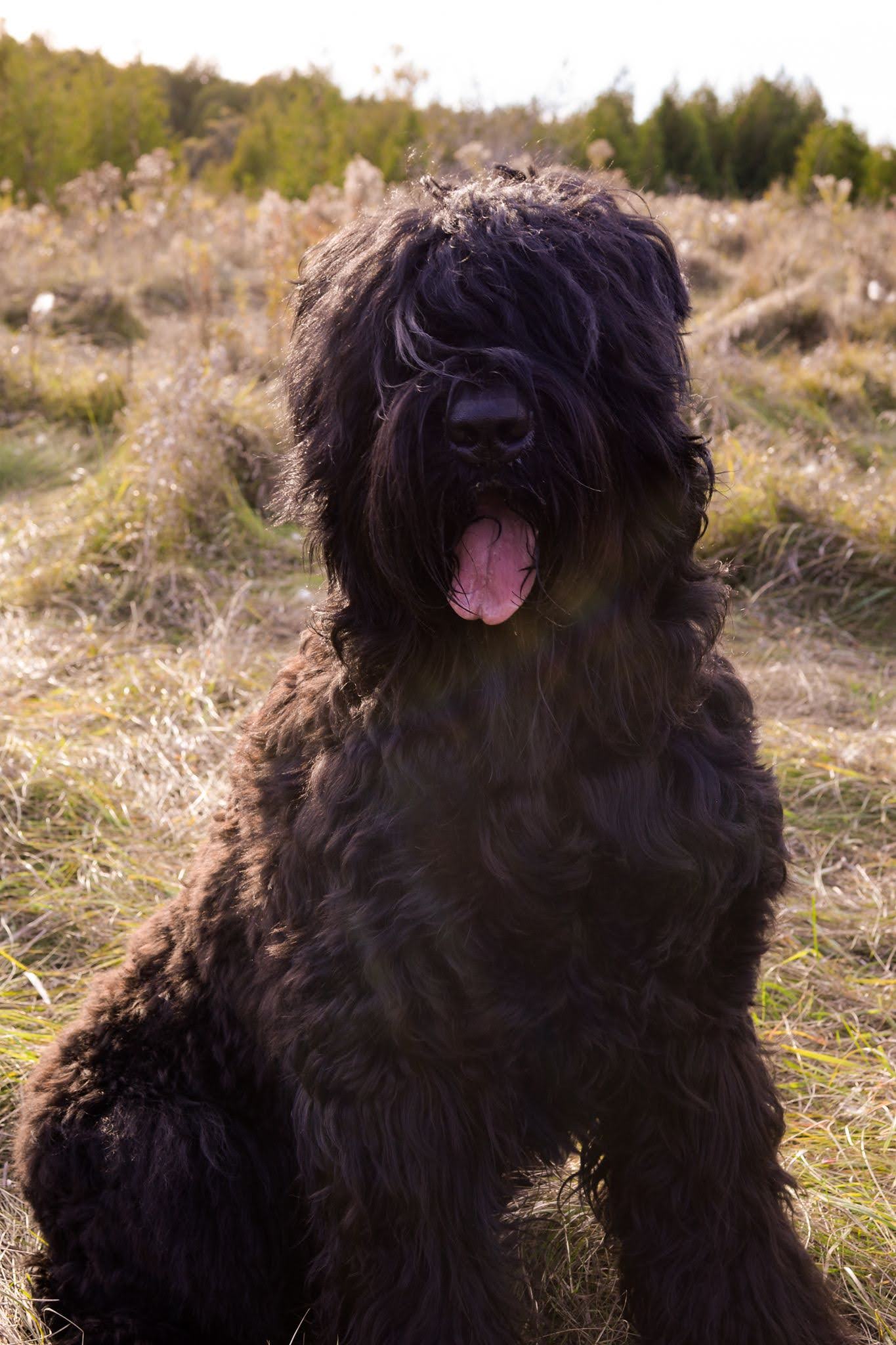 Monty