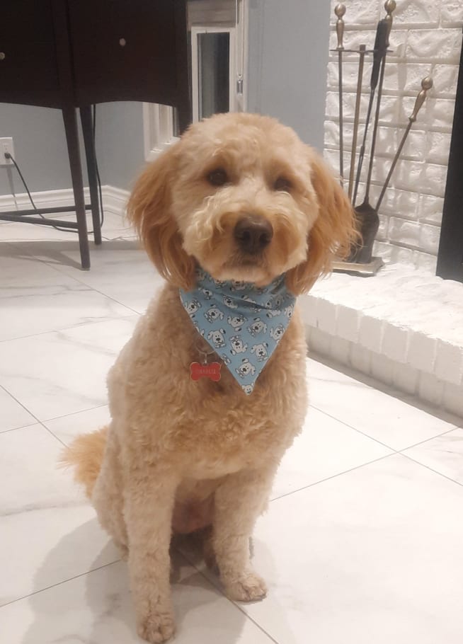 Charlie
