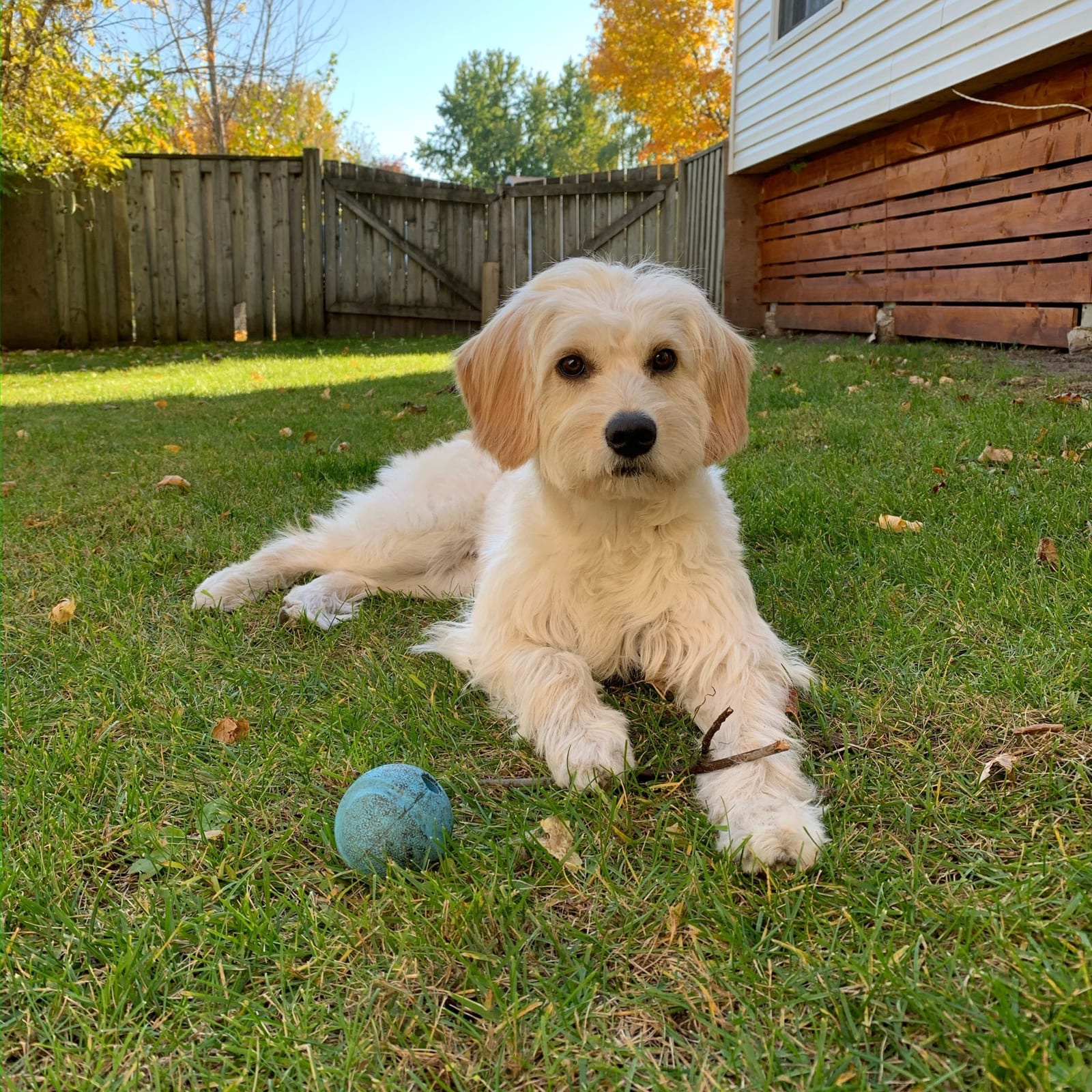 Millie