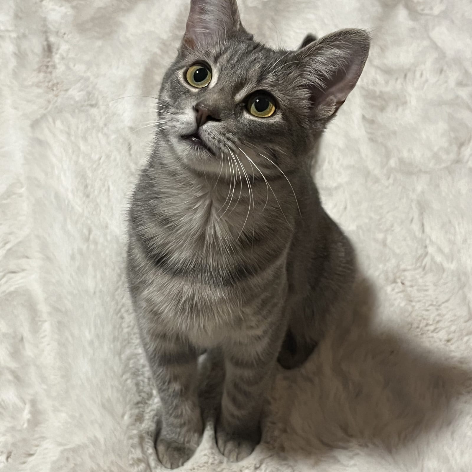 Lucie