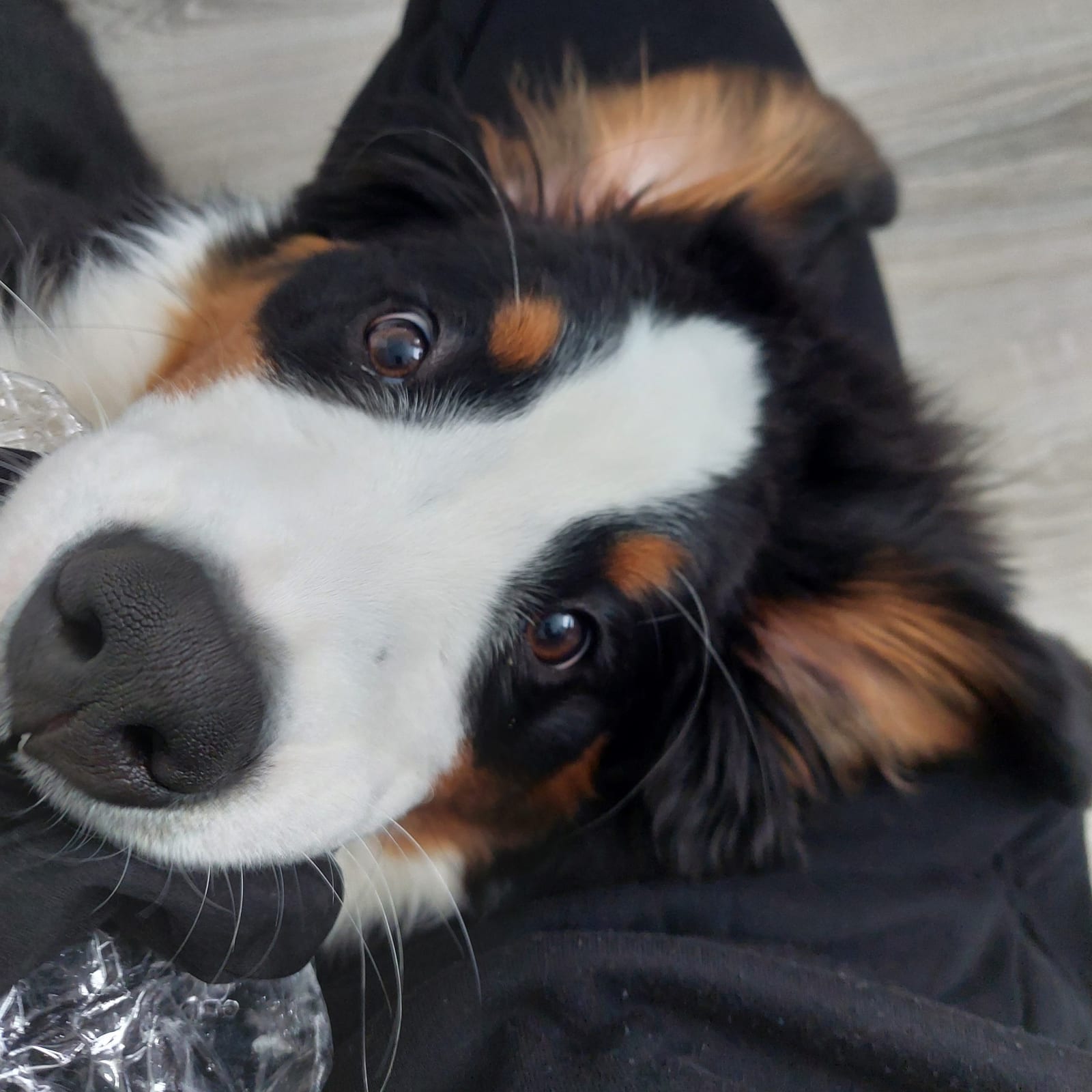 Charlie