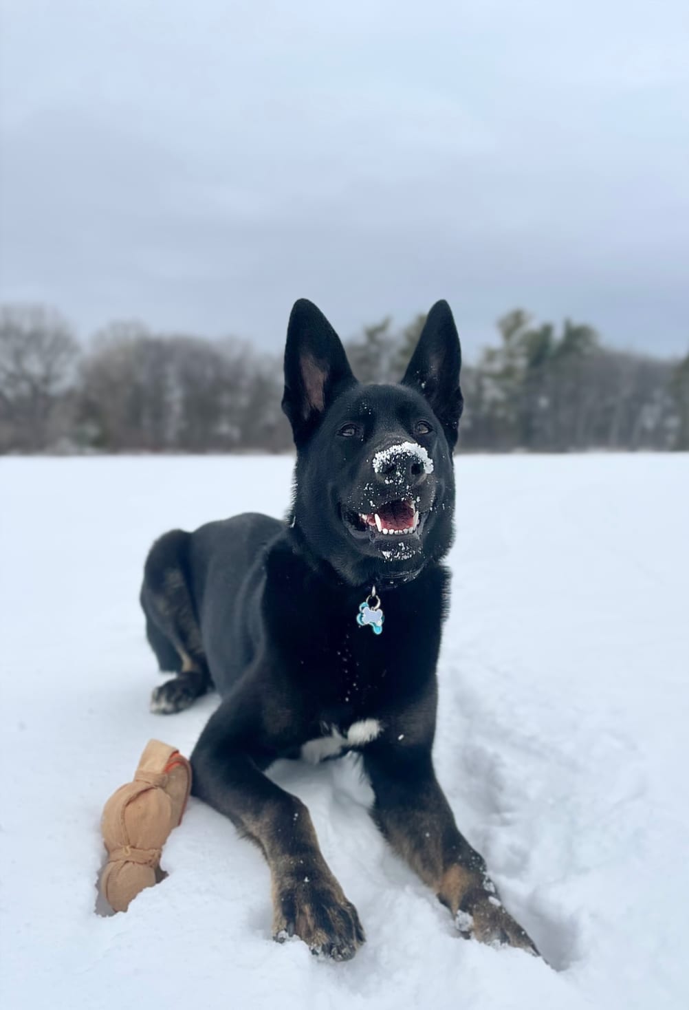 Maggie
