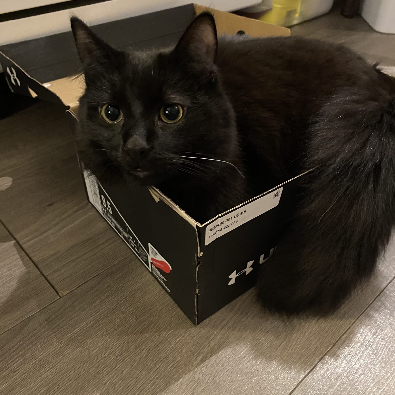 Sir Reginald Rumperton