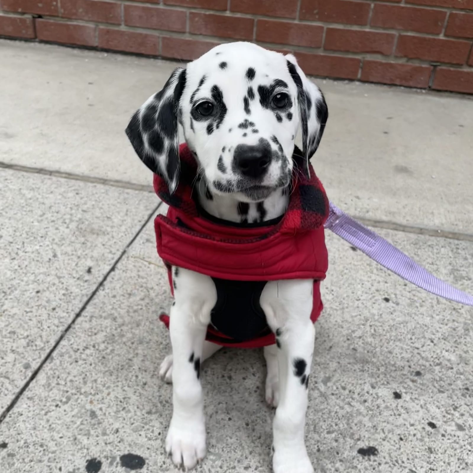 Oakley