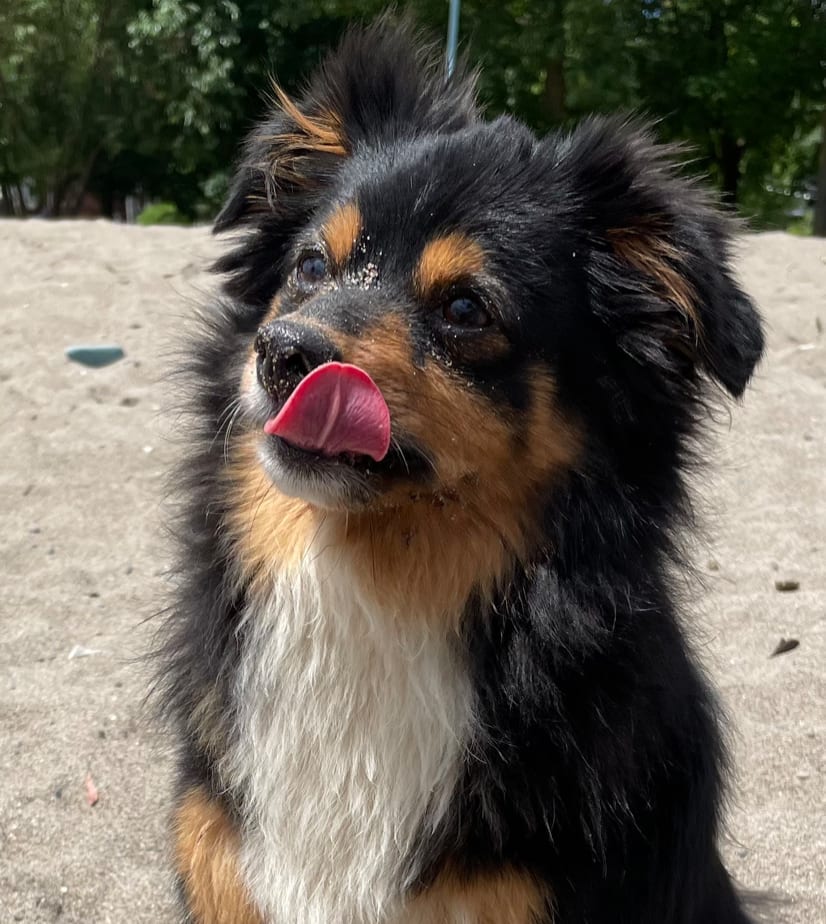 Hugo