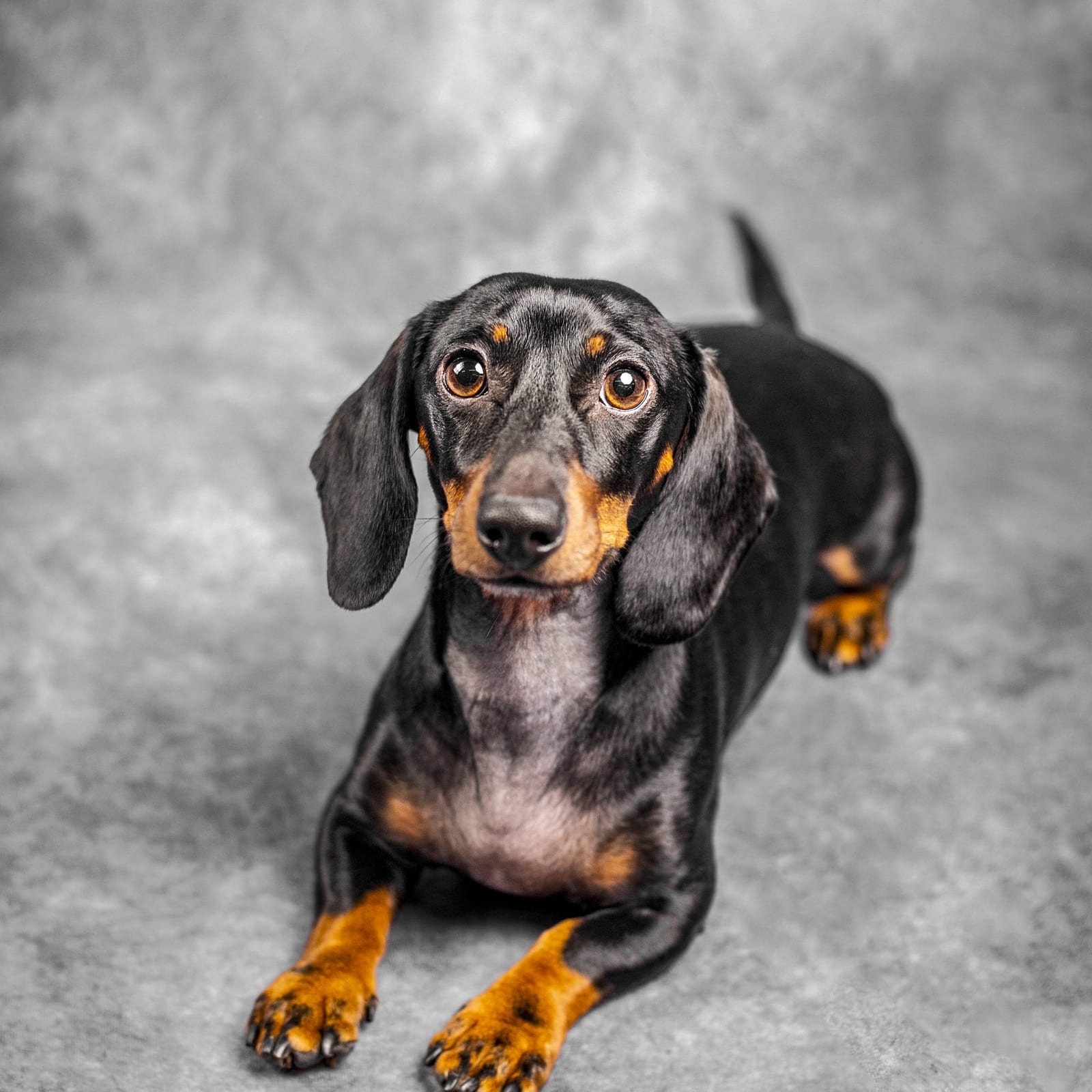 Oscar