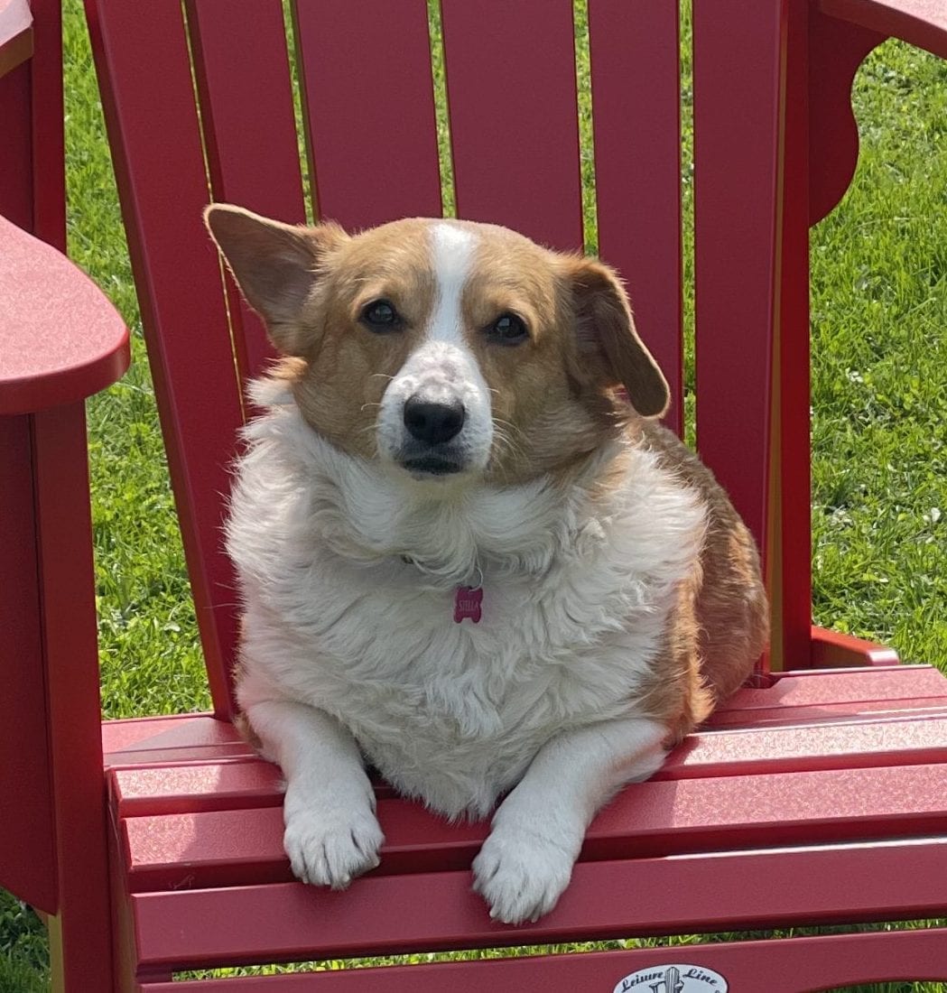 Stella