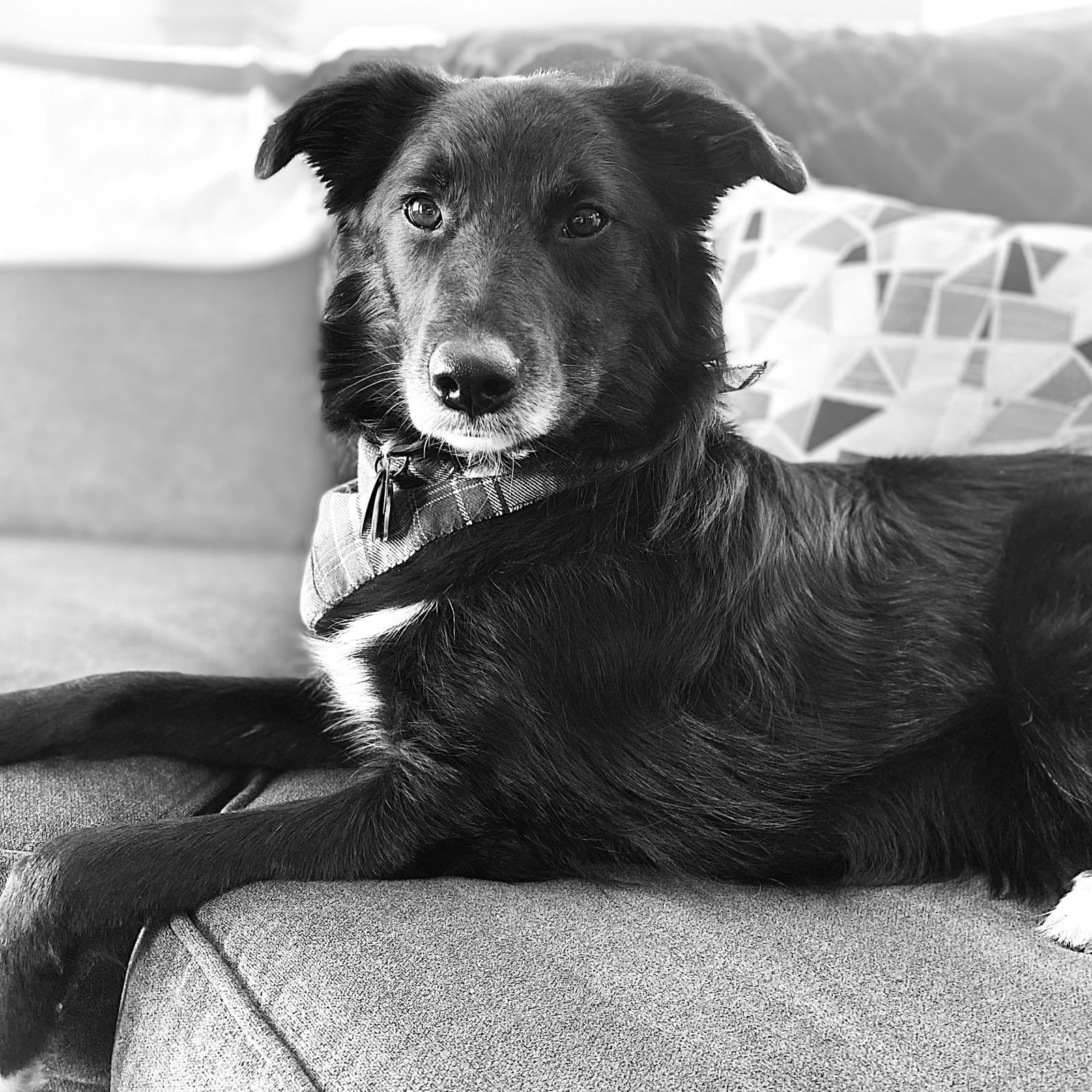 Tobias