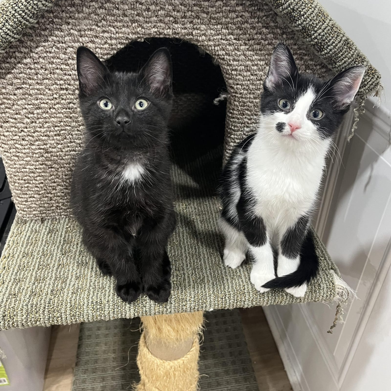 Bonnie & Clyde