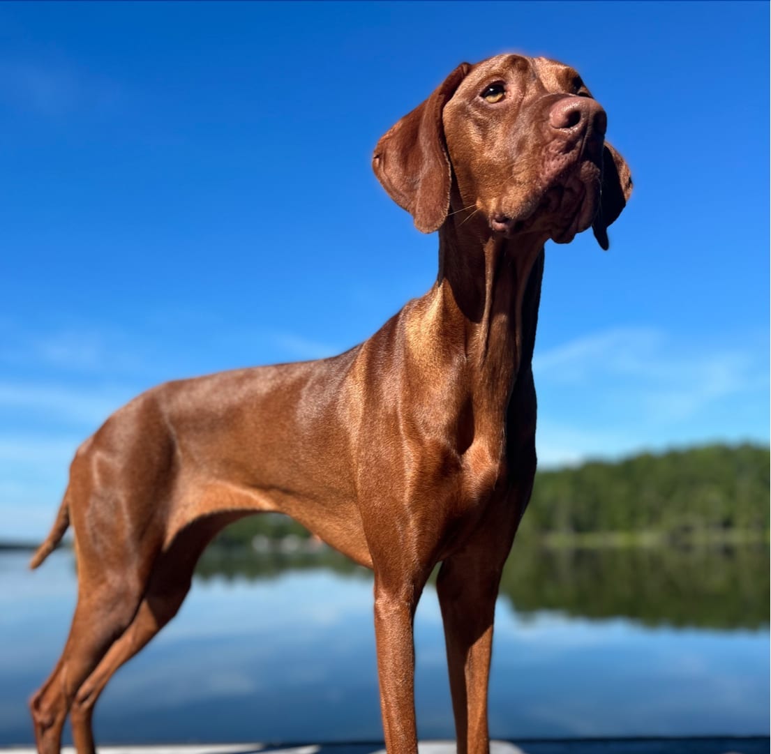 Rosalind (Rosie)