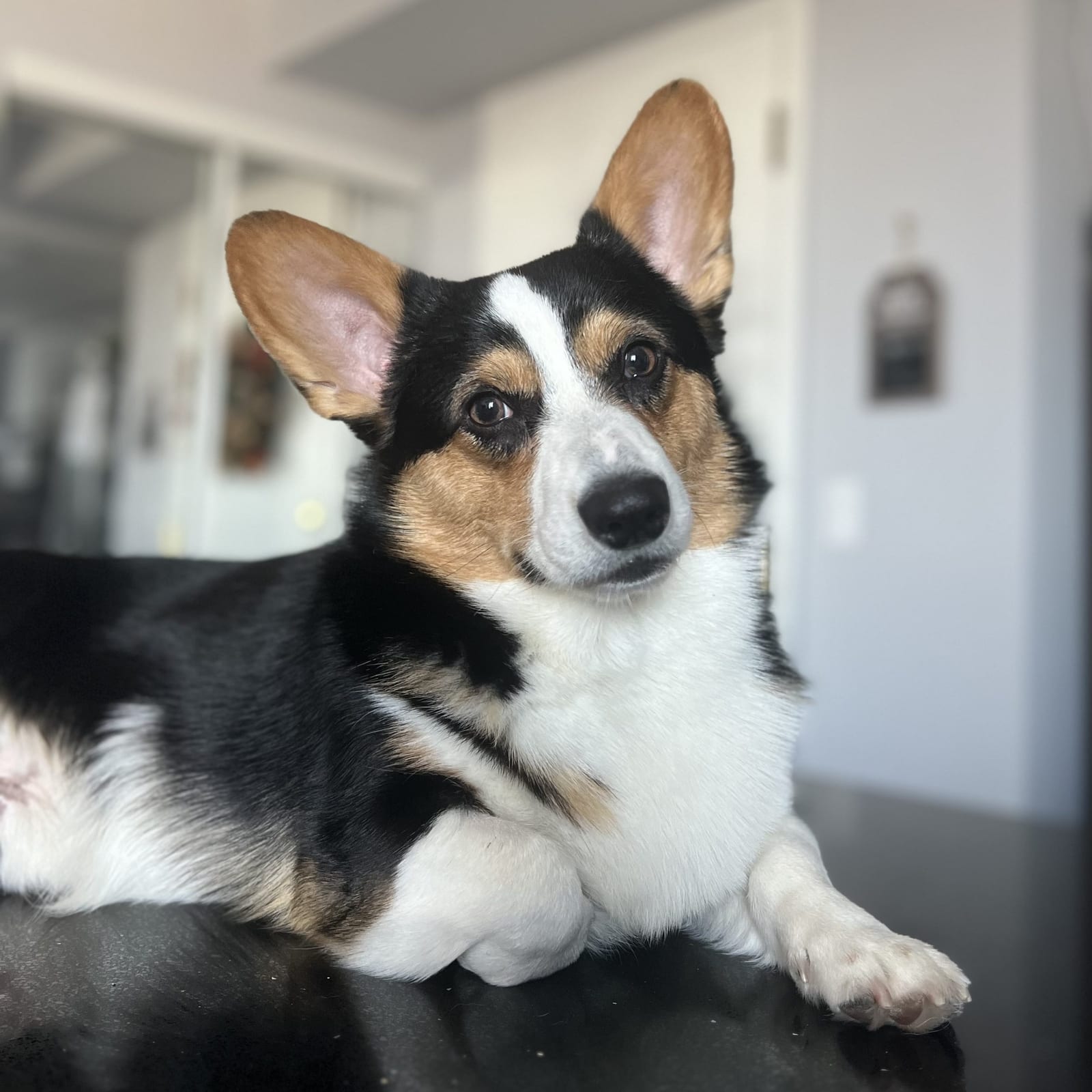 Jax