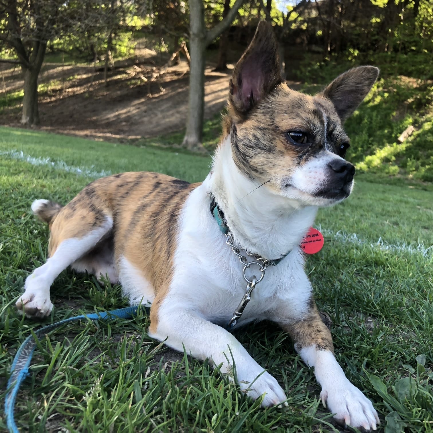 Sir Reginald Fisk
